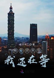 安安静静