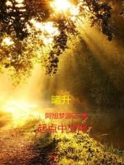 珠穆朗玛的月光