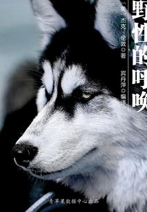 月下无人