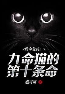 九叶书