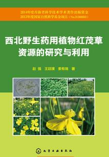 爱的成长历程
