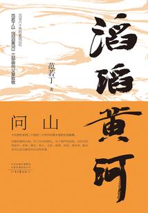 武碎星华
