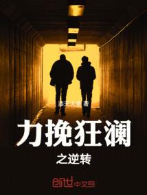 华丽的挑战之时间逆转