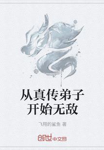 领主的征途
