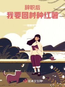 虎战都市