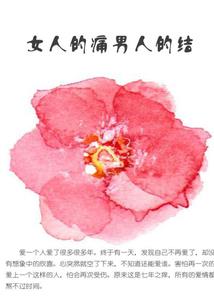 宏森林的旅行者