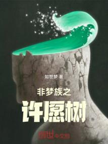 柳如枫传