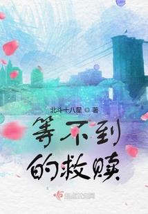 星运调味剂