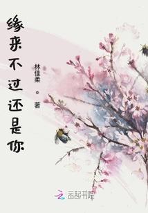 芒果街道的青年