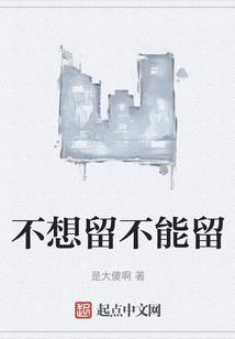 惹上主播的大熊猫