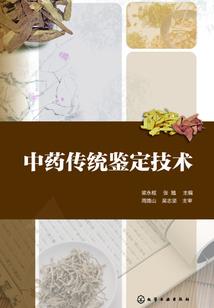 黎明后的虚拟世界