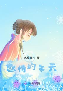 至高卡牌