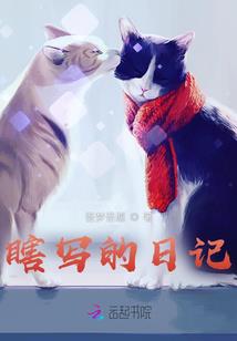 黑岛海洋馆杀人事件