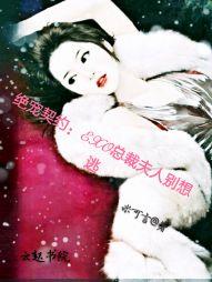 合租式婚姻