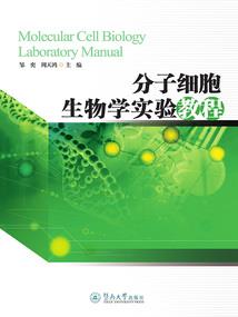 愿我星辰为你亮