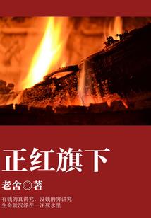 首席长官，求别撩！