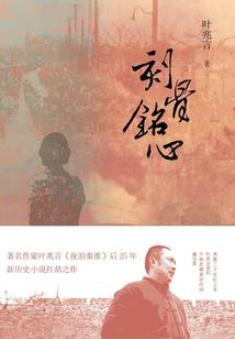 补天录之石头记