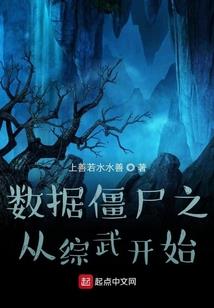 巅峰再续