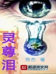 偷来的太子妃