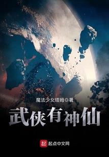 神秘的客人