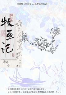 宁王妃