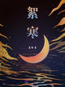 十一维骇客