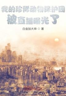 天地万象门