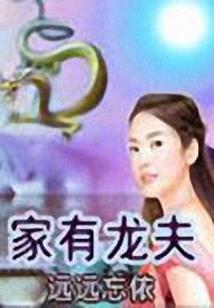 元气之域