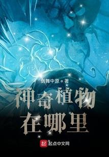 绝对超能的金钱游戏