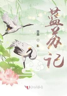 霸域记