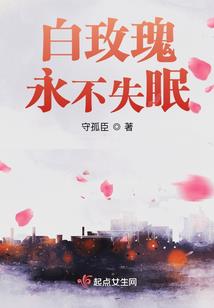 锦鲤之愿