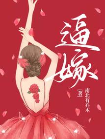 穿越年代农家女