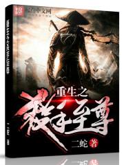 职业仙人