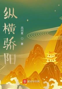 岚界