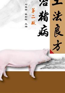 夜时雨声：众神契约