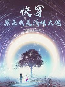 浮华流连