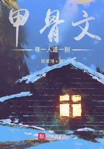 漂泊者游记