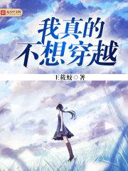 我的铠甲化作了月光