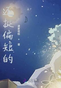 苍宇寻道