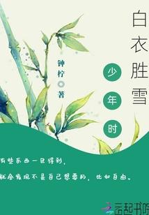 铁血杀手之生死磨练