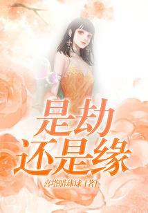 我的男配