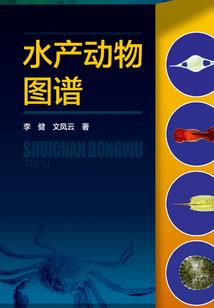 忆碎
