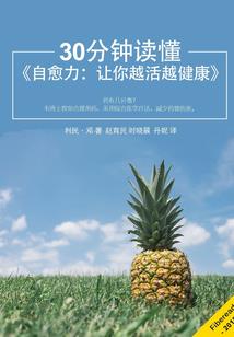 枫起异界