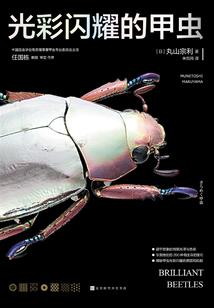 万族之劫：我有能量加点面板