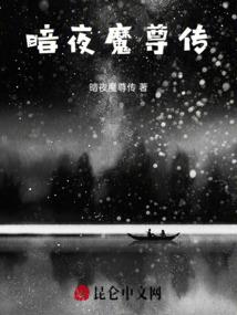 重生之将前世回忆写成书