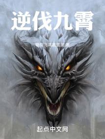 法造乾坤