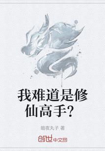 神奇宝贝之最强小智