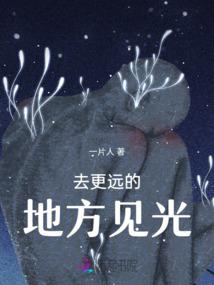 犹映西窗寒蝶影