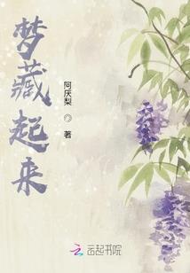 注视