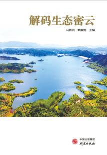 金丹初期就这